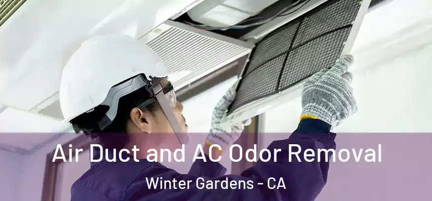 Air Duct and AC Odor Removal Winter Gardens - CA