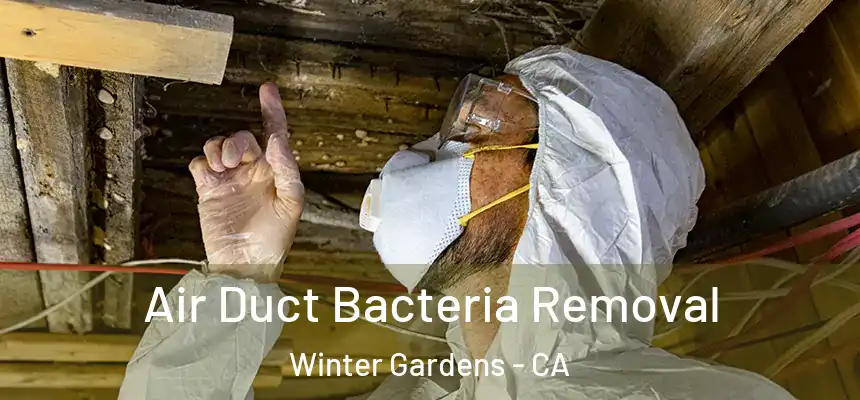 Air Duct Bacteria Removal Winter Gardens - CA