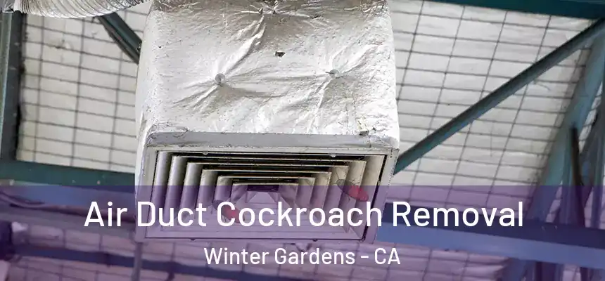  Air Duct Cockroach Removal Winter Gardens - CA