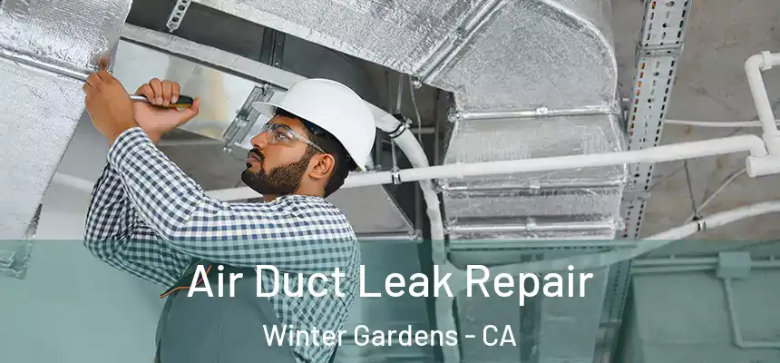 Air Duct Leak Repair Winter Gardens - CA