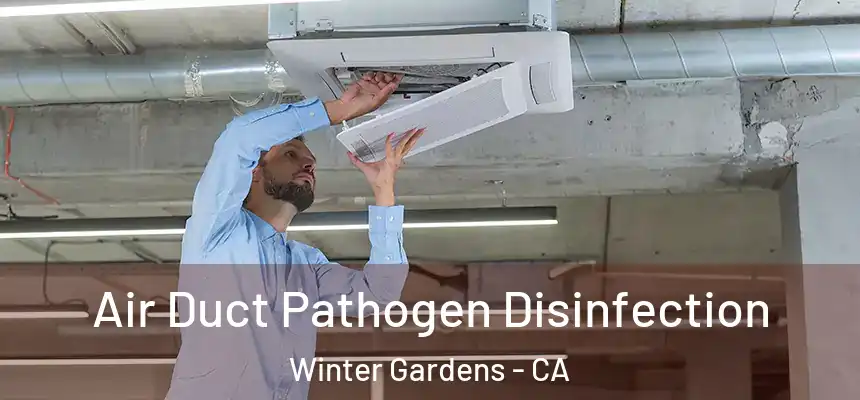  Air Duct Pathogen Disinfection Winter Gardens - CA