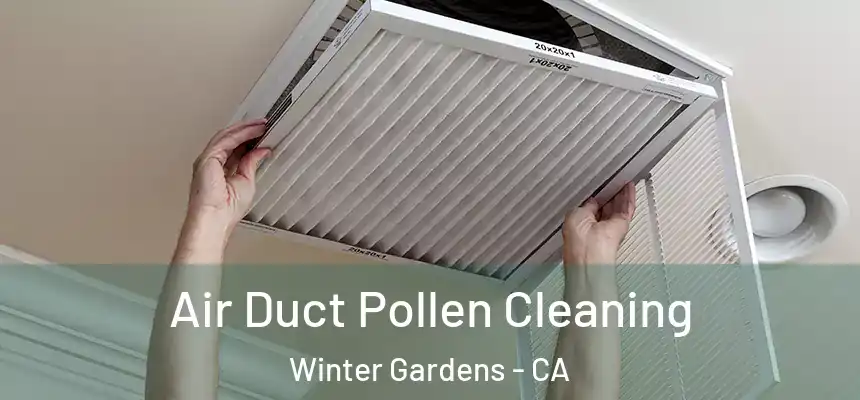 Air Duct Pollen Cleaning Winter Gardens - CA