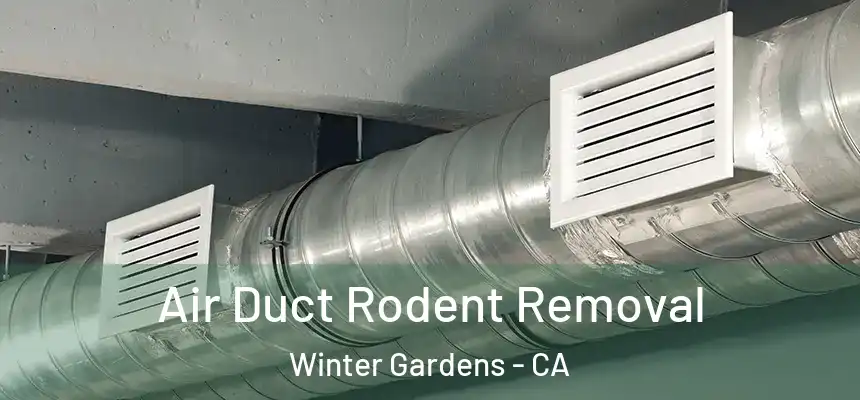 Air Duct Rodent Removal Winter Gardens - CA