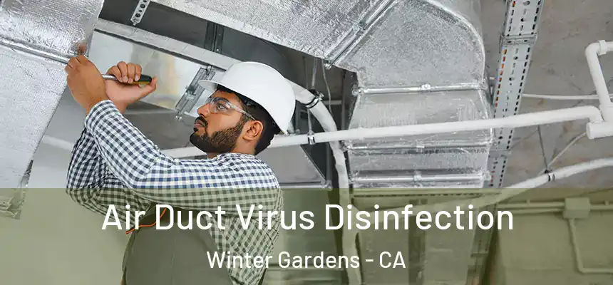 Air Duct Virus Disinfection Winter Gardens - CA