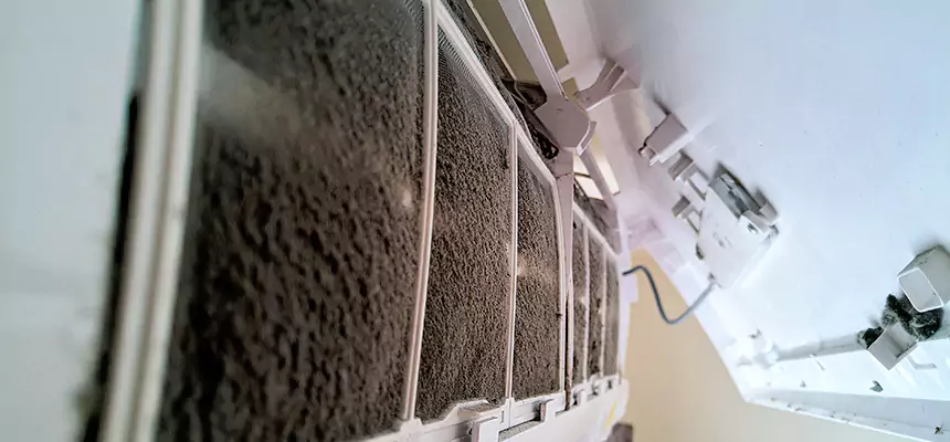 Preventive Air Duct Bacteria Removal in Winter Gardens