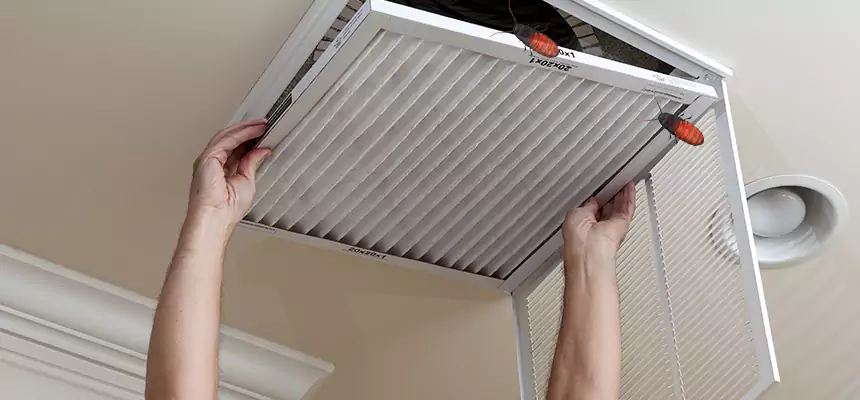 Preventive Cockroach-Proofing for Ducts in Winter Gardens