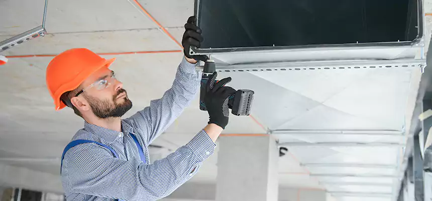 Roof Cap & Exterior Hood Lint Buildup Removal – Winter Gardens