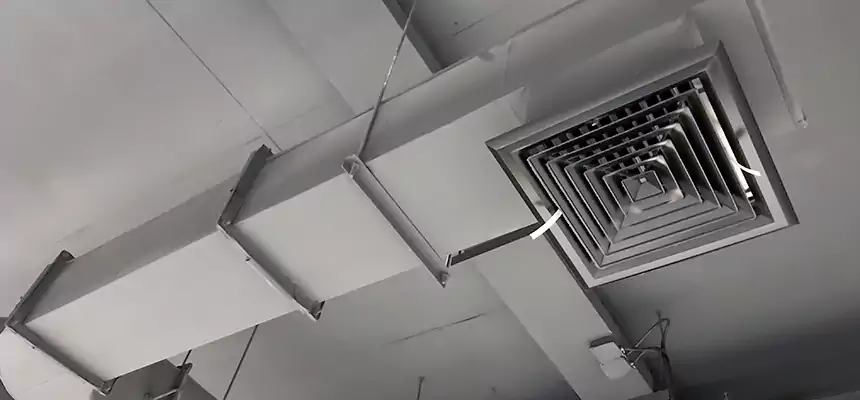 Our Pest Removal From Ducts Services in Winter Gardens, CA