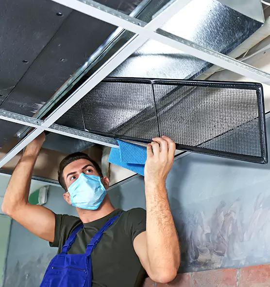 About Air Duct Bacteria Removal in Winter Gardens