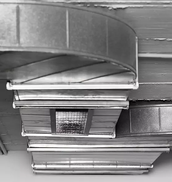 Professional Air Duct Pest Removal in Winter Gardens, CA