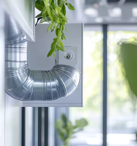 Professional Eco-Friendly Duct Cleaning Services in Winter Gardens, CA