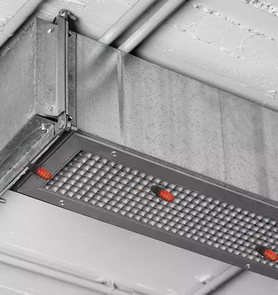 Affordable Insect Removal from Air Ducts in Winter Gardens, CA