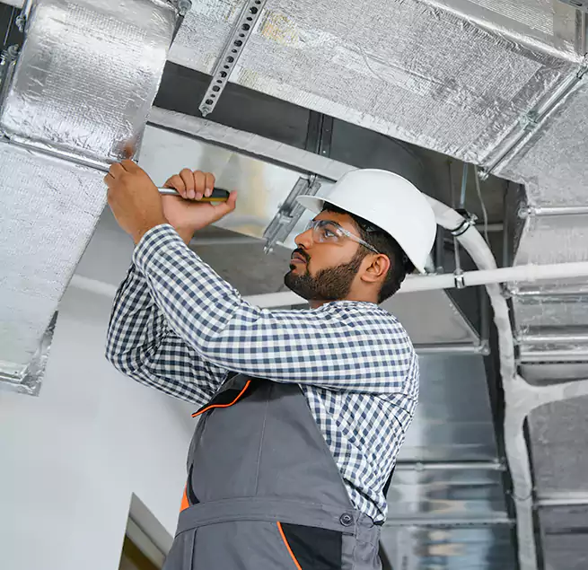 Why Homeowners & Businesses Trust Us Winter Gardens, CA?