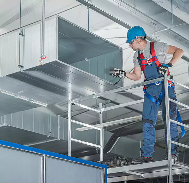 Why Homeowners & Businesses Trust Us in Winter Gardens, CA?