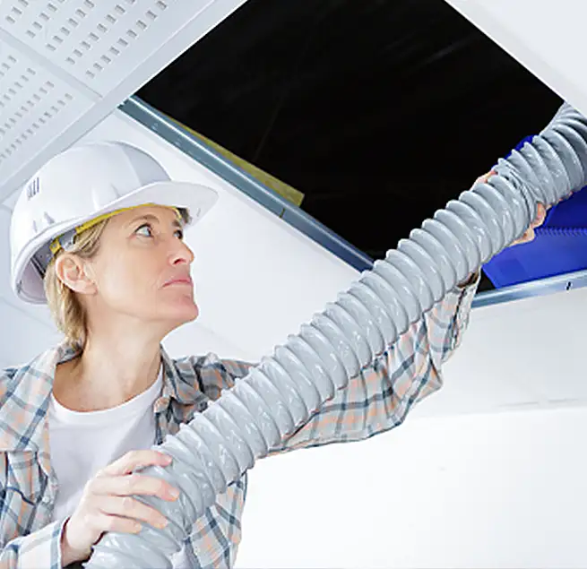 Why Homeowners & Businesses Trust Us Winter Gardens, CA