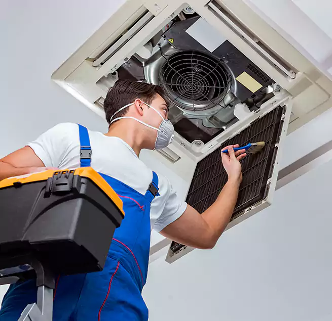 Why Homeowners & Businesses Trust Us in Winter Gardens, CA