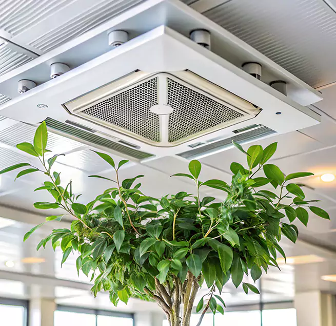 Why Homeowners & Businesses Trust Us in Winter Gardens, CA?