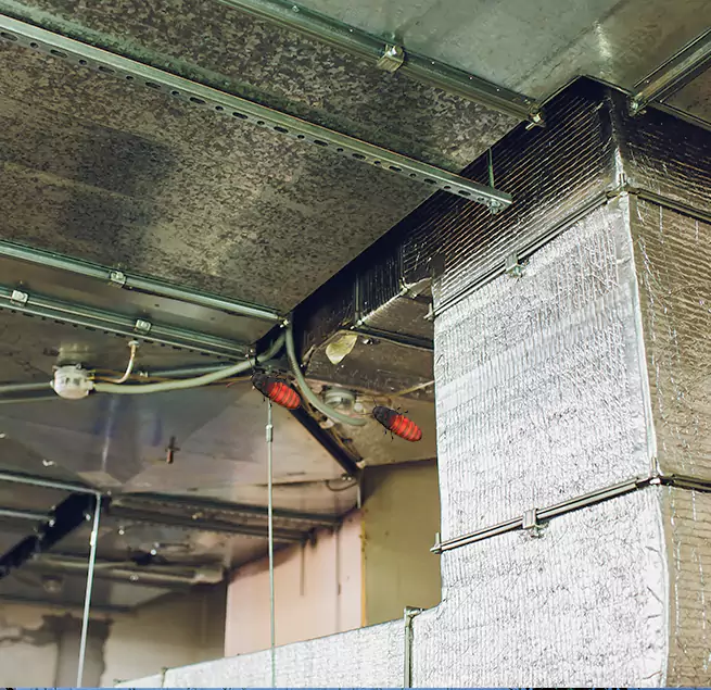 Why Homeowners & Businesses Trust Us Winter Gardens, CA?