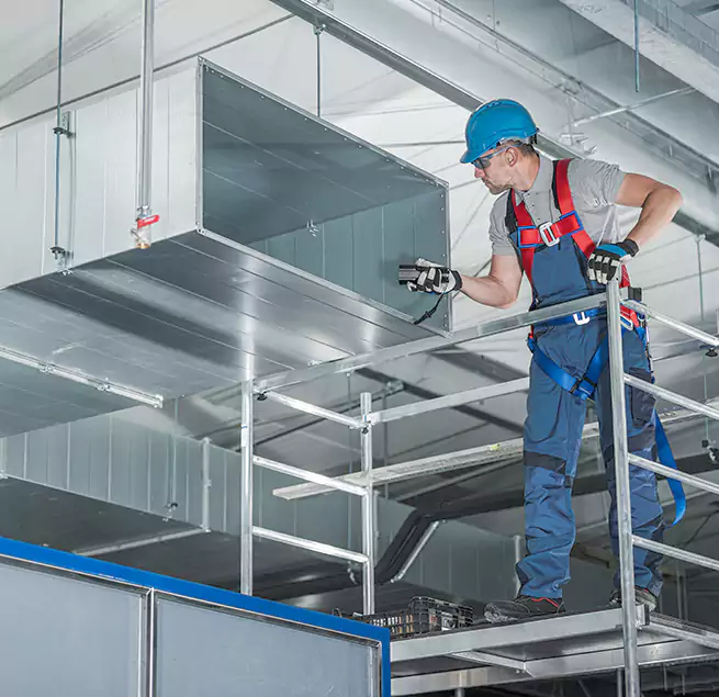 Why Homeowners & Businesses Trust Us Winter Gardens, CA