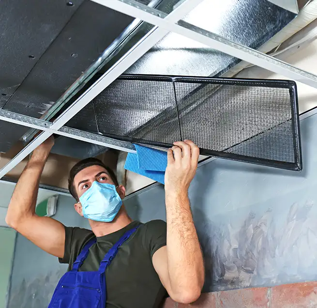 Why Homeowners & Businesses Trust Us in Winter Gardens, CA?