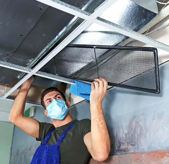  Why Homeowners Businesses Trust Us  in Winter Gardens, CA?